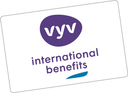 logo_vyv-international